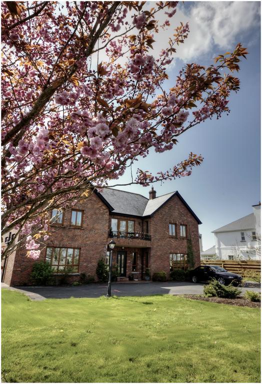 Oranhill Lodge Guesthouse Oranmore Esterno foto